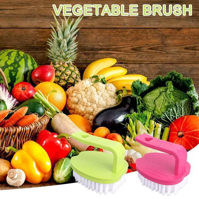 Alt view image 6 of 7 - 2pcs Vegetable Scrubber Brushes, 8x7x6.5cm/3.15x2.76x2.56in PP Material Fruit and Veggie Brush with Stiff Bristles and Handle for Potatoes Carrots & Fruits (Red & Green)