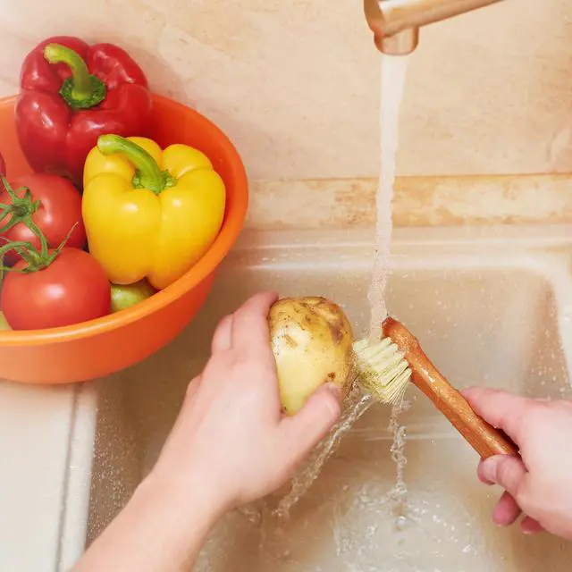 Alt view image 4 of 7 - Vegetable Brush Set of 2 - Fruit and Vegetable Brush Scrubber for Food, Potato Scrubber, Mushroom Brush with Comfortable Wooden Handle, Veggie Brush for Carrots, Natural Produce Cleaning Brush