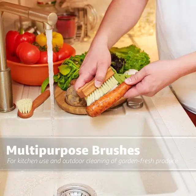 Alt view image 5 of 7 - Vegetable Brush Set of 2 - Fruit and Vegetable Brush Scrubber for Food, Potato Scrubber, Mushroom Brush with Comfortable Wooden Handle, Veggie Brush for Carrots, Natural Produce Cleaning Brush