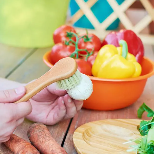 Alt view image 7 of 7 - Vegetable Brush Set of 2 - Fruit and Vegetable Brush Scrubber for Food, Potato Scrubber, Mushroom Brush with Comfortable Wooden Handle, Veggie Brush for Carrots, Natural Produce Cleaning Brush