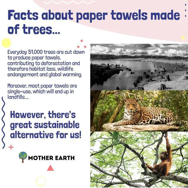 Alt view image 2 of 7 - Bamboo Paper Towels | 2-Ply, 3 Rolls, 250 Sheets per Roll | Gentle for Sensitive Skin & Daily Cleaning Tasks