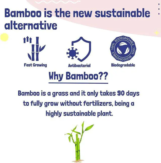 Alt view image 3 of 7 - Bamboo Paper Towels | 2-Ply, 3 Rolls, 250 Sheets per Roll | Gentle for Sensitive Skin & Daily Cleaning Tasks
