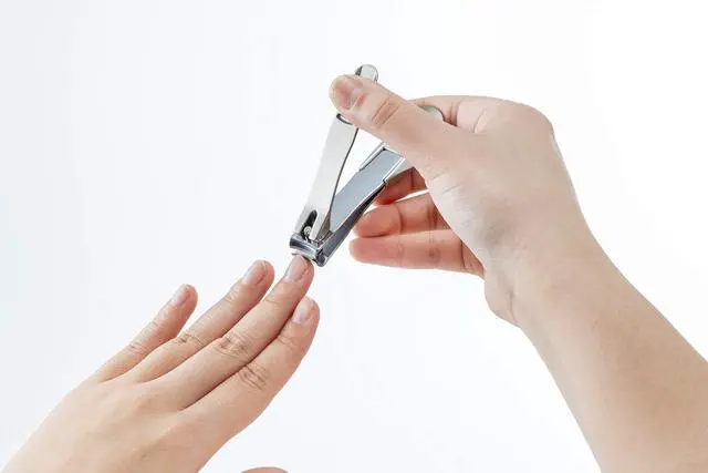 Alt view image 3 of 7 - Takumi No Waza - Stainless Steel Nail Clipper (G-1205) - Built-in Nail File - Made in Japan