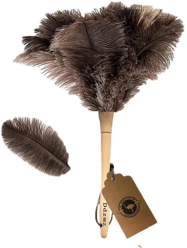 Main image of Ostrich Feather Duster for Cleaning with Wooden Handle, 16", Brown