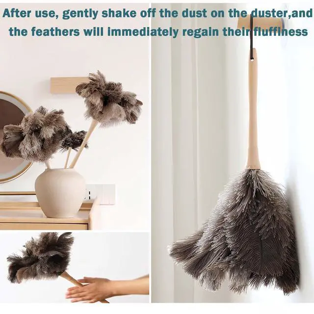 Alt view image 7 of 7 - Ostrich Feather Duster for Cleaning with Wooden Handle, 16", Brown
