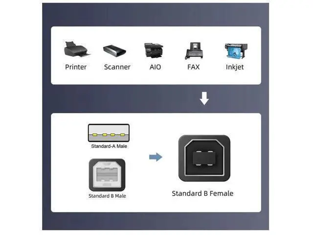 Alt view image 4 of 6 - 2 Pack USB 2.0 Type B Female to Type A & Type B Male Adapter, Dual Connector Converter for Printer, Scanner & Hard Drive