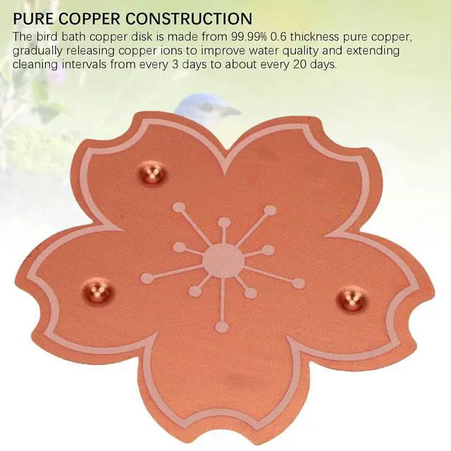 Alt view image 4 of 7 - 2 Pcs Cute Bird Bath Copper Disk, Flower and Seashell Shapes, 0.6mm Reinforced 99.99% Pure Copper Cleaning Disk, Triple Point Support for Physical Safe (C Type)