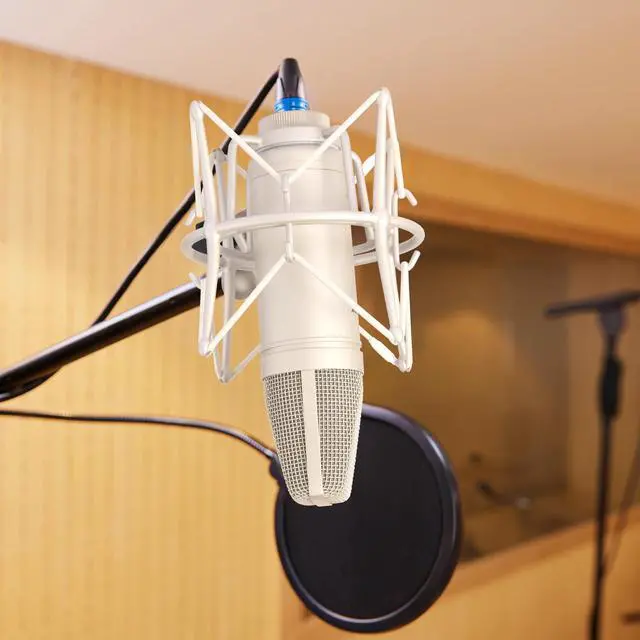 Alt view image 7 of 7 - Condenser Microphone XLR, Large Diaphgram Professional Recording Cardioid Microphone Kit with Shock Mount, for Studio, Live Streaming, Podcas (Silver)