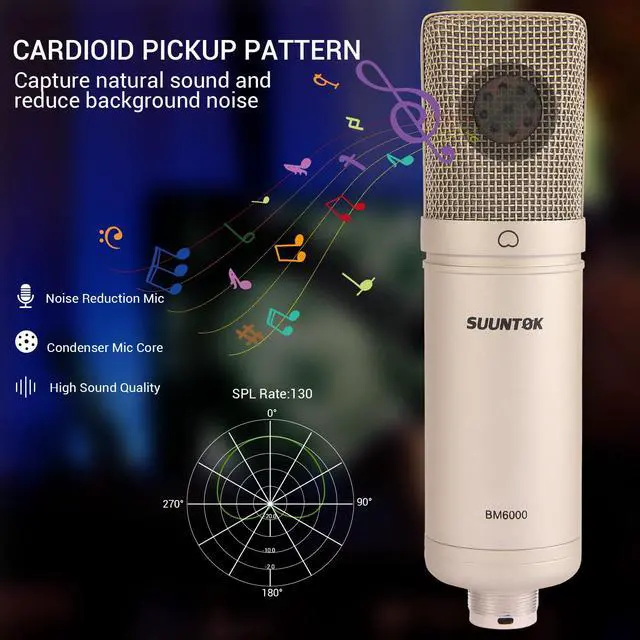 Alt view image 5 of 7 - Condenser Microphone XLR, Large Diaphgram Professional Recording Cardioid Microphone Kit with Shock Mount, for Studio, Live Streaming, Podcas (Silver)