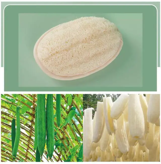 Alt view image 6 of 6 - Natural Loofah Exfoliating Body Scrubber Pads, Bath Loofah for Women & Men, 100% Plant-Based Shower Luffa Sponge (3-Pack)