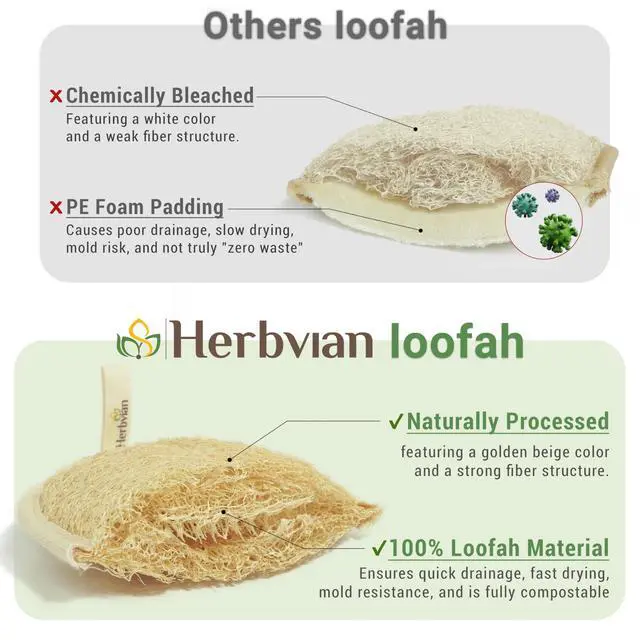Alt view image 2 of 7 - Vietnamese Natural Loofah Exfoliating Body Scrubber Pads, 100% Plant-Based Shower Luffa Sponge, Bath Loofah for Women Men (2, Pack of 2)