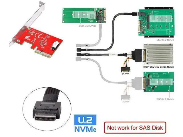 Alt view image 5 of 7 - PCIe 4.0 x4 to OCuLink SFF-8612/SFF-8611 Adapter Card, 64Gbps Host Converter for PCIe NVMe U.2 SSD with Full & Low Profile Bracket
