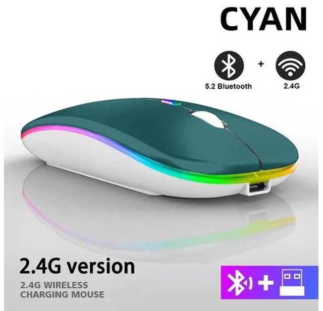 Main image of Rechargeable Bluetooth Wireless Mouse with 2.4GHz USB RGB 1600DPI Mouse for Computer Laptop Tablet PC Macbook Gaming Mouse Gamer(Dual Mode Wireless)