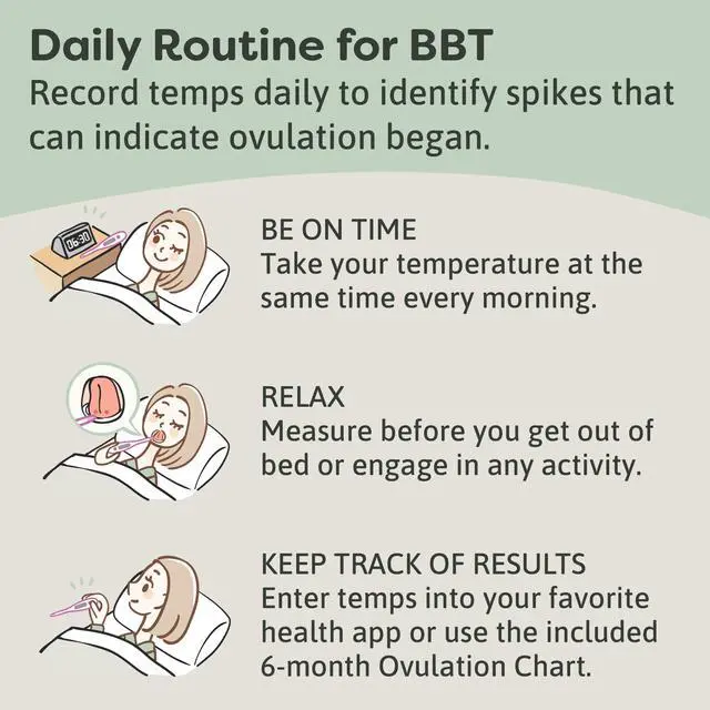 Alt view image 5 of 6 - Digital Basal Thermometer 1/100th Accurate, Fertility Prediction and Ovulation Tracking, Oral or Vaginal BBT, (60-Second Reading),