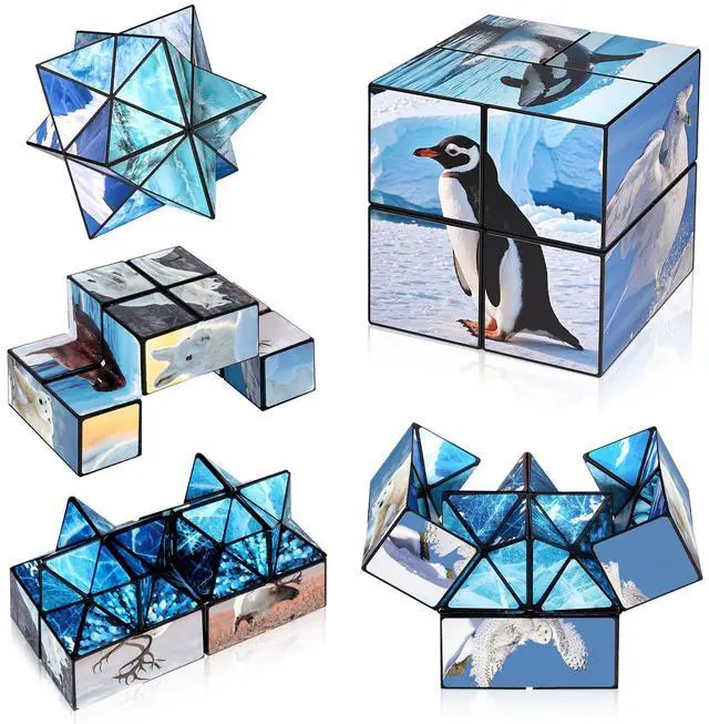 Main image of 2 in 1 Magic Cube Set, Fidget Toy for Kids Adults, Yoshimoto Cube for Ages 8-12, Arctic/Antarctic Animals Puzzle Cube Fun Toy for Boys Girls (Polar Series)