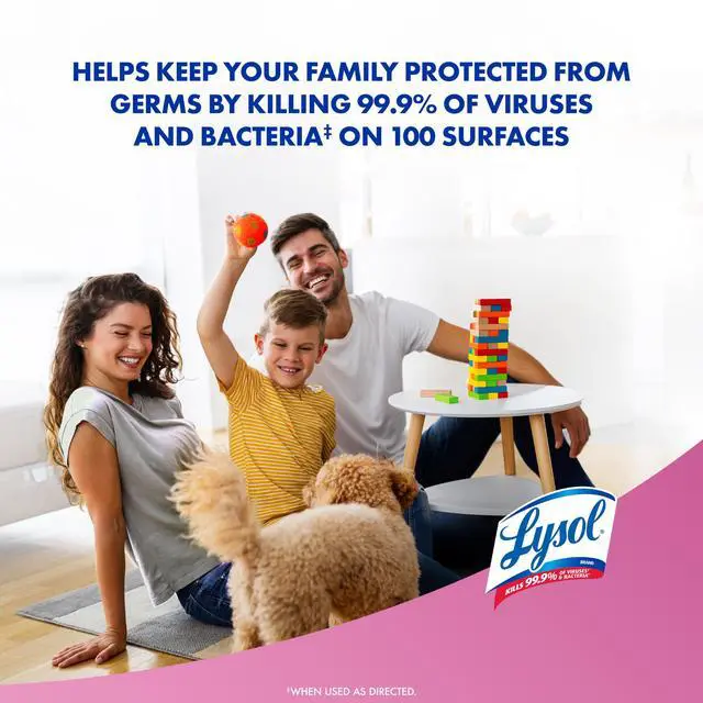 Alt view image 3 of 7 - Disinfectant Spray, Household Cleaning Supplies, Disinfecting Multi-Purpose Room Spray, Antibacterial Sanitizer, Deodorizer, Kills Hantavirus, Early Morning Breeze, 19 Fl Oz (Pack of 2)