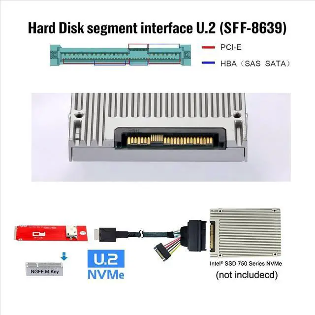 Alt view image 4 of 7 - PCIe 4.0 M.2 NGFF to Oculink SFF-8612 Adapter 2260/2280mm with SFF-8611 to SFF-8639 Cable for U.2 SFF-8639 NVME PCIe SSD