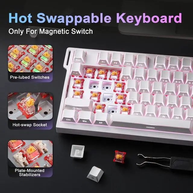 Alt view image 7 of 7 - RT75 PRO Wireless Gaming Keyboard,Hall Effect Mechanical Rapid Trigger Magnetic Keyboard Bluetooth/USB-C/2.4G 8KHz Polling Rate,RGB Backlit,TGL/SOCD/DKS/MT (White, Red Switch)