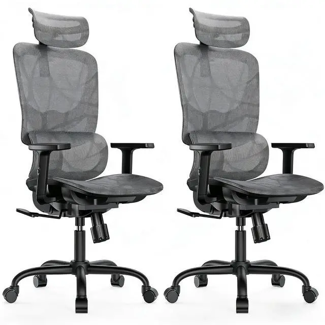 Main image of Ergonomic Mesh Office Chair with 5-Level Lumbar Support, Computer Gaming Chair with Adjustable Headrest & Armrests, Rocking Tilt, Comfortable High Back Desk Chair for Home Office,2 Pack