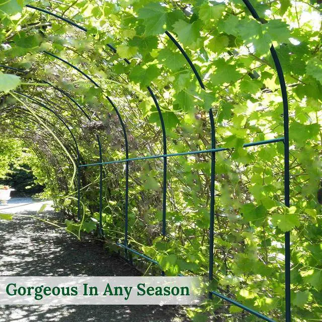 Alt view image 4 of 7 - YardGrow Garden Support Arch Frame Climbing Plant Arch Arbor Greenhouse Frame for Plants/Flowers/Vegetables Outdoor (6.5x7x7.2 FT)