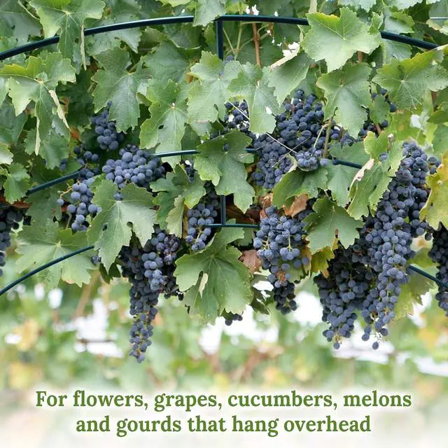 Alt view image 5 of 7 - YardGrow Garden Support Arch Frame Climbing Plant Arch Arbor Greenhouse Frame for Plants/Flowers/Vegetables Outdoor (6.5x7x7.2 FT)