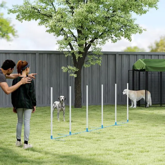 Alt view image 6 of 7 - PawHut Dog Agility Training Equipment Set with Weave Poles Carry Bag White | Dog Agility Course, for Outdoor, Garden, Backyard