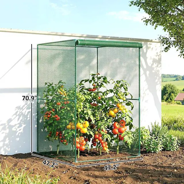 Alt view image 7 of 7 - 6' x 4' x 6' Crop Cage, Plant Protection Tent, Dark Green | Zippered Doors, for Vegetable Garden Backyard Outdoor Use