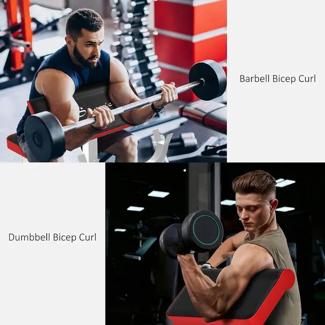 Alt view image 6 of 7 - Adjustable Preacher Curl Bench with Brabell Rack 265 LBS | Strength Training, Seated Arm Isolated Barbell Dumbbell Bicep Station, Home Gym Fitness Equipment