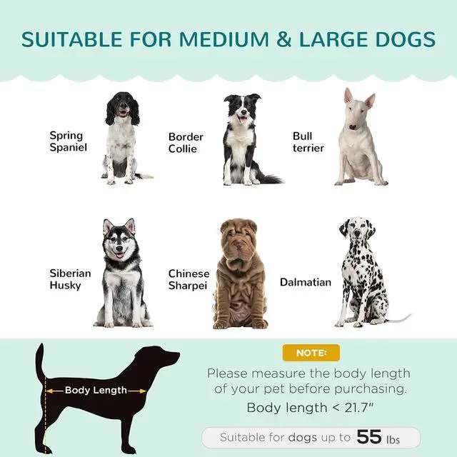 Alt view image 3 of 7 - PawHut Velvet Large Dog Couch with Foam Cushion for Big Dogs Green | Soft and Cute Puppy Sofa Bed, Pearl Design