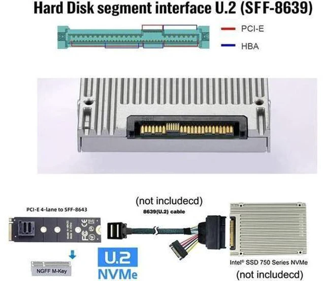 Main image of 22x80mm U.2 Kit SFF-8639 NVME PCIe4.0 SSD Adapter for Mainboard SSD 750 p3600 p3700 M.2 SFF-8643 Mini SAS HD