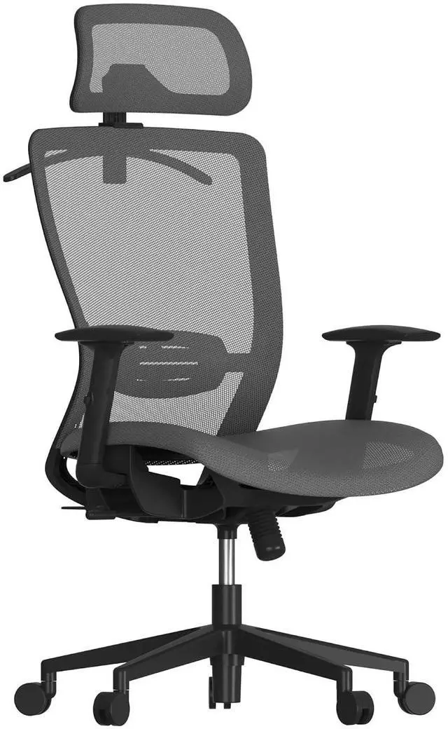 Main image of Ergonomic Office Chair, High Back Mesh Swivel Computer Chair, Executive Office Desk Chairs, with Adjustable Lumbar Support/2D Headrest/Lockable Backrest, OC3 Mesh Seat, Gray