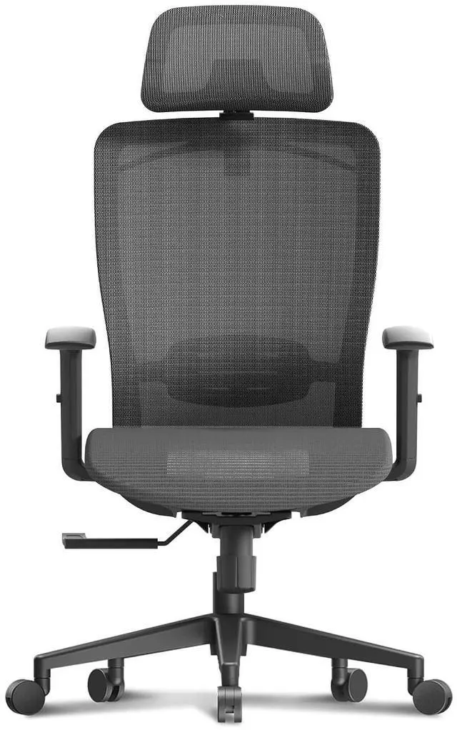 Alt view image 4 of 7 - Ergonomic Office Chair, High Back Mesh Swivel Computer Chair, Executive Office Desk Chairs, with Adjustable Lumbar Support/2D Headrest/Lockable Backrest, OC3 Mesh Seat, Gray