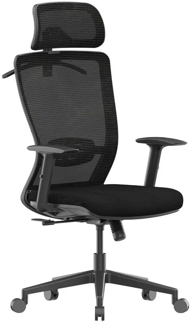 Main image of Ergonomic Office Chair, High Back Home Office Desk Chairs with Adjustable Lumbar Support, Armrests,90-130° Tilt Lock, Comfort Wide Cushion, Swivel Computer Gaming Chairs for Adults (Black)