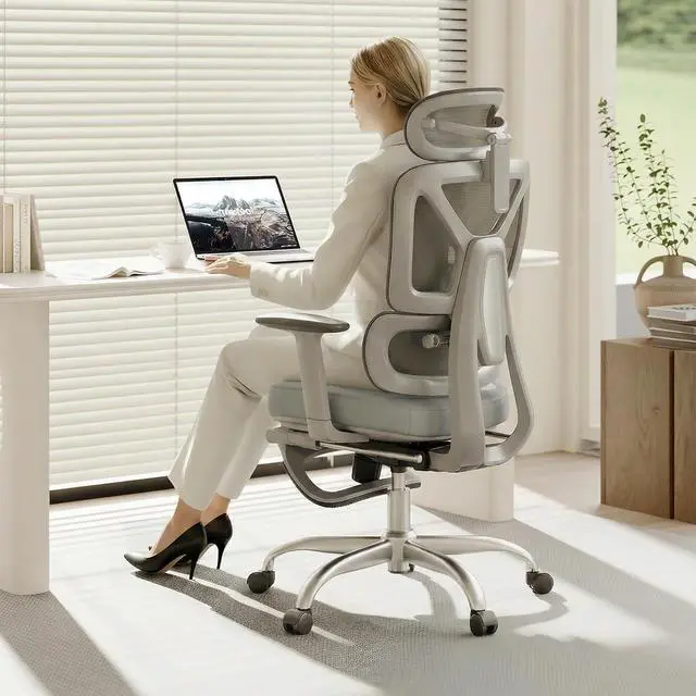 Main image of ErgoX Premium Ergonomic Office Chair with Footrest- Adjustable 3D Armrests, Dynamic Lumbar Support, Recline & Tilt Function, Mesh Seat, for Home & Office Use,Light Grey Foam
