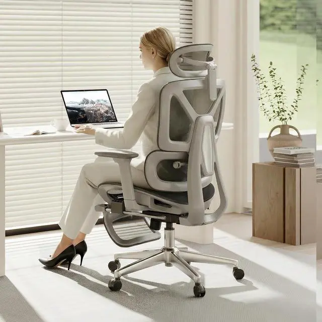 Main image of ErgoX Premium Ergonomic Office Chair with Footrest- Adjustable 3D Armrests, Dynamic Lumbar Support, Recline & Tilt Function, Mesh Seat, for Home & Office Use,Light Grey