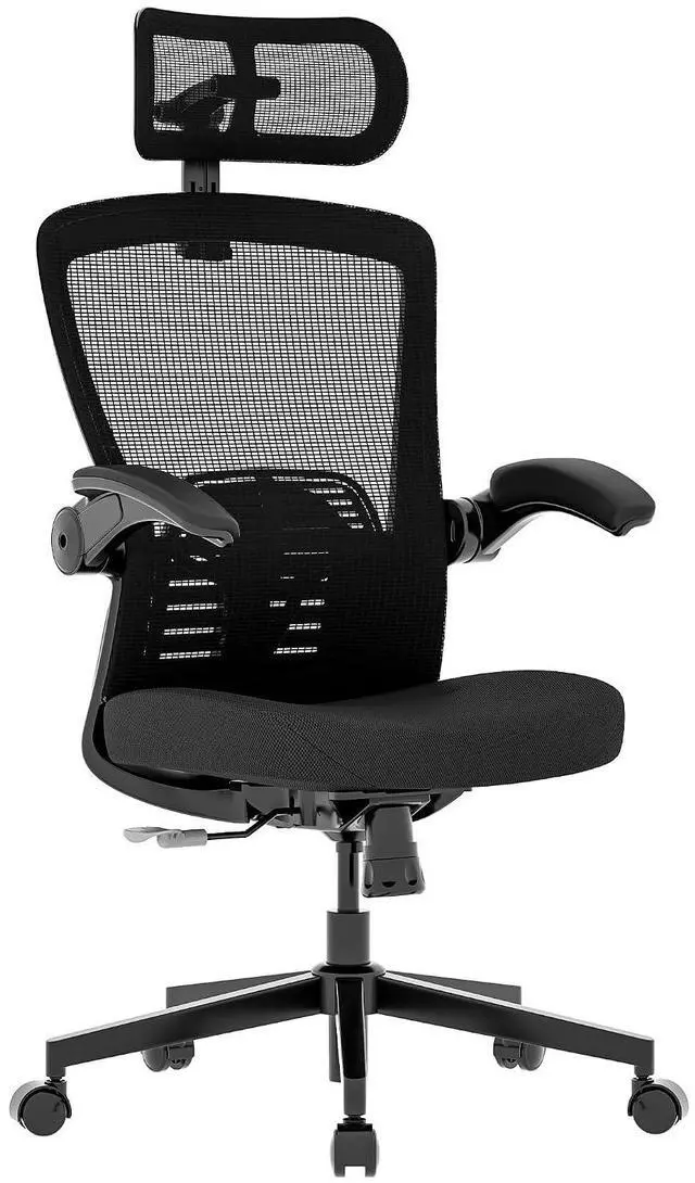 Main image of OC3-Pro Cloud Ergonomic Office Chair for Big and Tall Black, High Back Office Chair with Flip-up Arm/8-Level Lumbar Support, Foam Seat Cushion, Chairs for Home Office Working Studying Gaming
