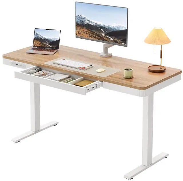 Main image of 55 Inch Electric Standing Desk, Height Adjustable Table with Storage, Sit Stand Desk with Charging Station for Home Office, Computer Workstation, Maple+White