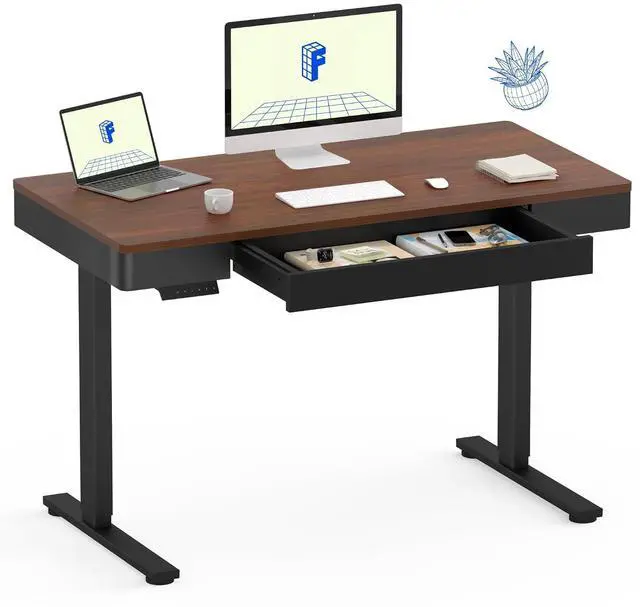 Main image of Standing Desk with Drawer, 48 x 24 Inch Electric Adjustable Height Stand Up Desk with Storage Organizer, Whole Piece Wooden Desktop for Home, Office, Computer Workstation, Dark Walnut