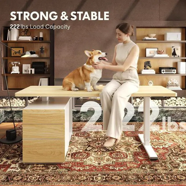 Alt view image 7 of 7 - 60" Executive Standing Desk with Drawers & CPU Holder, Dual Motor Height Adjustable Desk, 222 LBS Capacity, 1" Thick Desktop, Home Office Workstation, White Wood Grain, 3 Packages