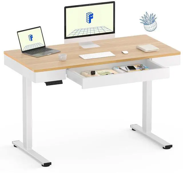 Main image of Standing Desk with Drawer, 48 x 24 Inch Electric Adjustable Height Stand Up Desk with Storage Organizer, Whole Piece Wooden Desktop for Home, Office, Computer Workstation, Maple