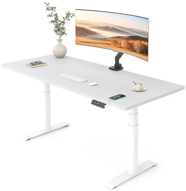 Main image of E6 Pro Large 60" x 24" Dual Motor Electric Standing Desk, Organic Modern Oval Leg Design, 3-Stage Height Adjustable Sit Stand Desk with Heavy Duty 330lbs, White Desktop, White Frame
