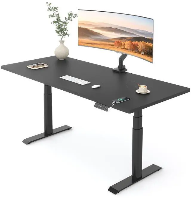 Main image of E6 Pro 55" x 28" Dual Motor Electric Standing Desk, Organic Modern Oval Leg Design, 3-Stage Height Adjustable Sit Stand Desk with heavy Duty 330lbs, Black Desktop, Black Frame