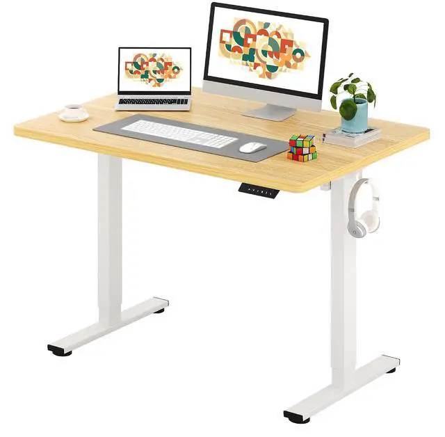 Main image of One-Piece Electric Standing Desk, Seamless 48 x 30'' Ergonomic Height Adjustable Sit Stand Desk with Memory Presets for Home Office Computer Workstation, White Frame/Natural Top