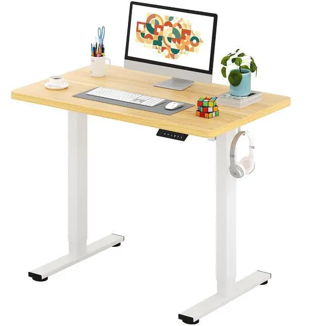 Main image of One-Piece Electric Standing Desk, Seamless 40 x 24'' Ergonomic Height Adjustable Sit Stand Desk with Memory Presets for Home Office Computer Workstation, White Frame/Natural Top