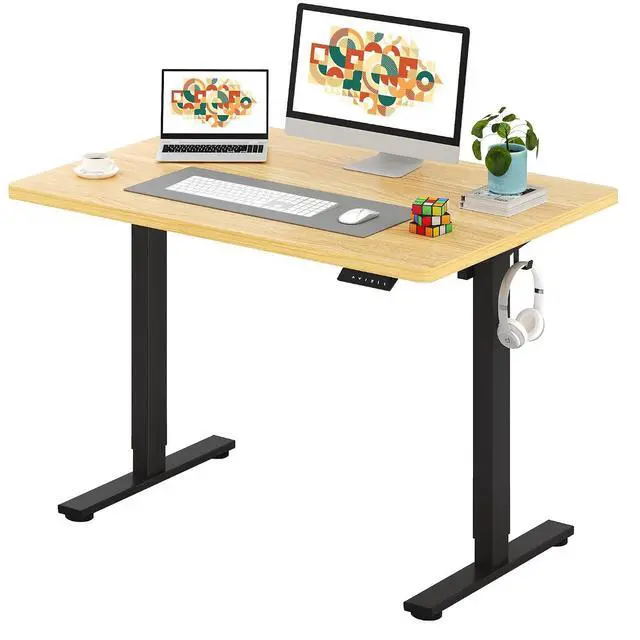 Main image of One-Piece Electric Standing Desk, Seamless 48 x 30'' Ergonomic Height Adjustable Sit Stand Desk with Memory Presets for Home Office Computer Workstation, Black Frame/Natural Top