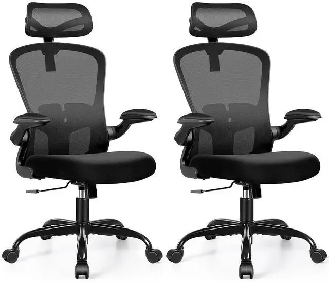 Main image of Office Chair Ergonomic Desk Chair with Headrest, High Back Computer with Adjustable Lumbar Support and Wheels,Executive Swivel Comfy with flip-up Armrests for Home Office,Pack of 2