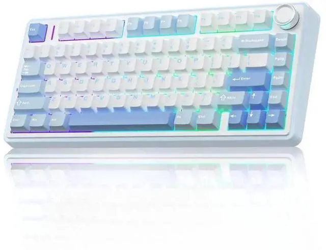 Main image of F75 75% Wireless Mechanical Keyboard, Tri-Mode 2.4G BT5.0 Type-C Hot Swappable Gaming Keyboard, Pre-lubed Greywood Switch RGB Backlit Creamy Typing Keyboard Salt White Blue