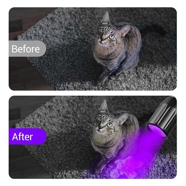 Alt view image 2 of 7 - NEXTORCH C1UV 365nm UV Light Led Blacklight Flashlights Resin Curing Light | Pocket-Size UV Detector Ultraviolet LED Torch for Pets Urine and Find Stains on Carpet, Rugs 3D Printed Light