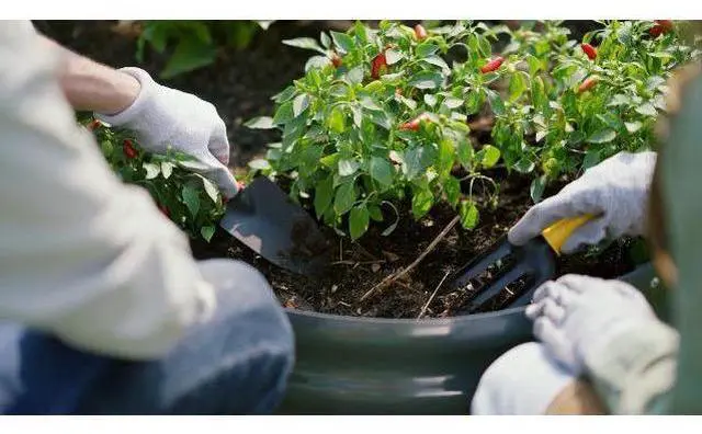 Main image of KING BIRD Raised Garden Bed with Cover Galvanized Oval Planter Garden Box Outdoor for Gardening, Vegetables, Flowers White 4x3x1 ft