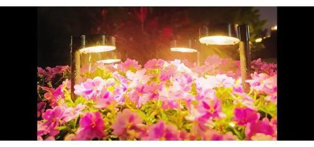 Main image of ELECLINK Solar Pathway Lights Outdoor, 12 Pack Waterproof Path Light with Bigger LED Lens, Brighter Up to 12 Hrs Outdoor Solar Light for Walkway Driveway Yard Garden Patio Garden